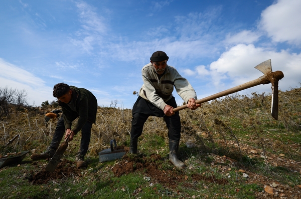 Foto - "Fidan dede" 35 yılda yüzbinlerce fidanı toprakla buluşturdu