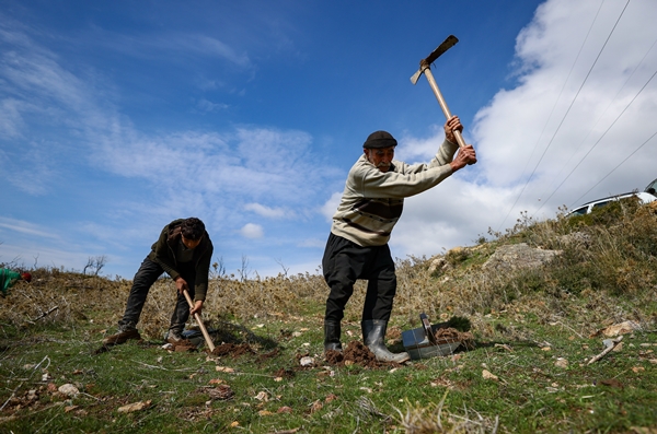 Foto - "Fidan dede" 35 yılda yüzbinlerce fidanı toprakla buluşturdu
