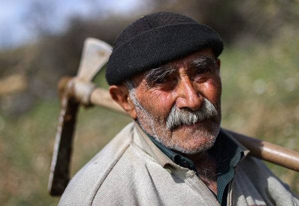 Foto - "Fidan dede" 35 yılda yüzbinlerce fidanı toprakla buluşturdu
