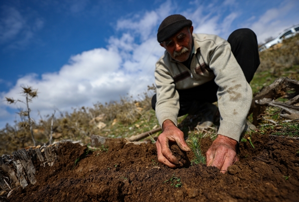 Foto - "Fidan dede" 35 yılda yüzbinlerce fidanı toprakla buluşturdu