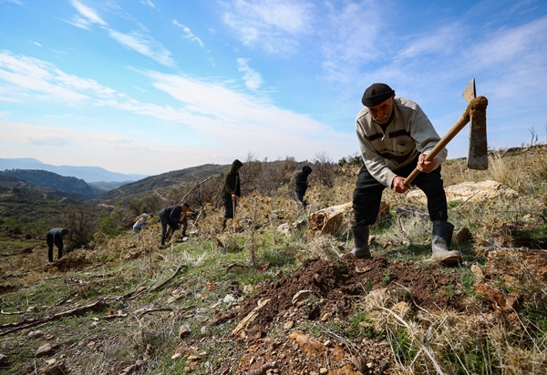 Foto - "Fidan dede" 35 yılda yüzbinlerce fidanı toprakla buluşturdu