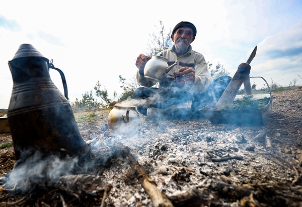 Foto - "Fidan dede" 35 yılda yüzbinlerce fidanı toprakla buluşturdu