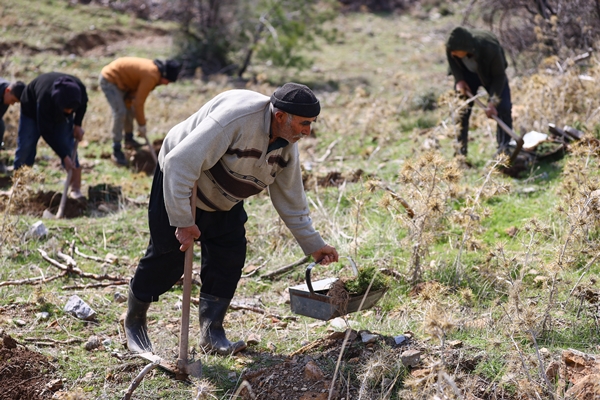 Foto - "Fidan dede" 35 yılda yüzbinlerce fidanı toprakla buluşturdu
