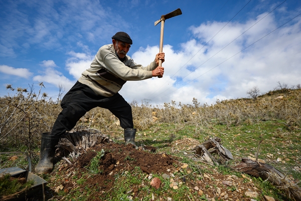 Foto - "Fidan dede" 35 yılda yüzbinlerce fidanı toprakla buluşturdu