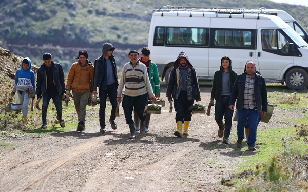 Foto - "Fidan dede" 35 yılda yüzbinlerce fidanı toprakla buluşturdu