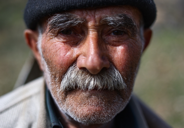 Foto - "Fidan dede" 35 yılda yüzbinlerce fidanı toprakla buluşturdu