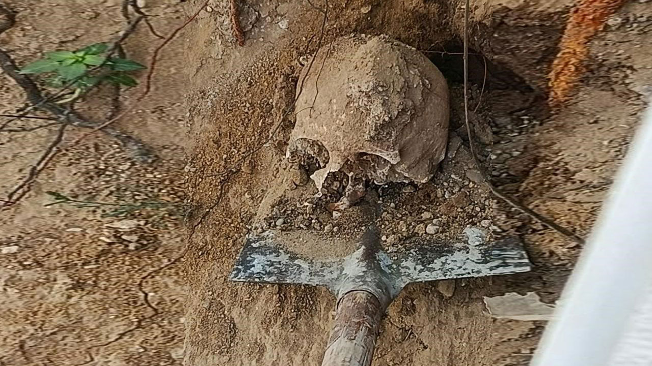 Fidan dikerken karşılaştı! Site bahçesinde insan kafatası bulundu