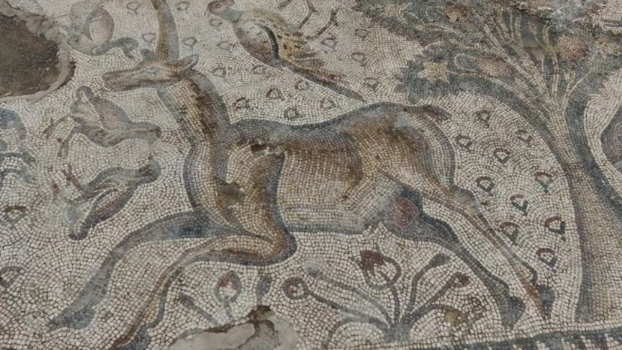 Foto - Fidan dikerken ortaya çıktı! 1700 yıllık tarih günyüzüne çıktı