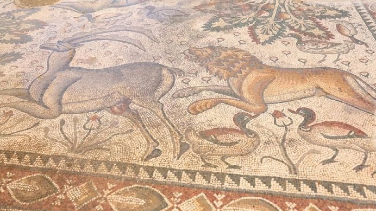 Foto - Fidan dikerken ortaya çıktı! 1700 yıllık tarih günyüzüne çıktı