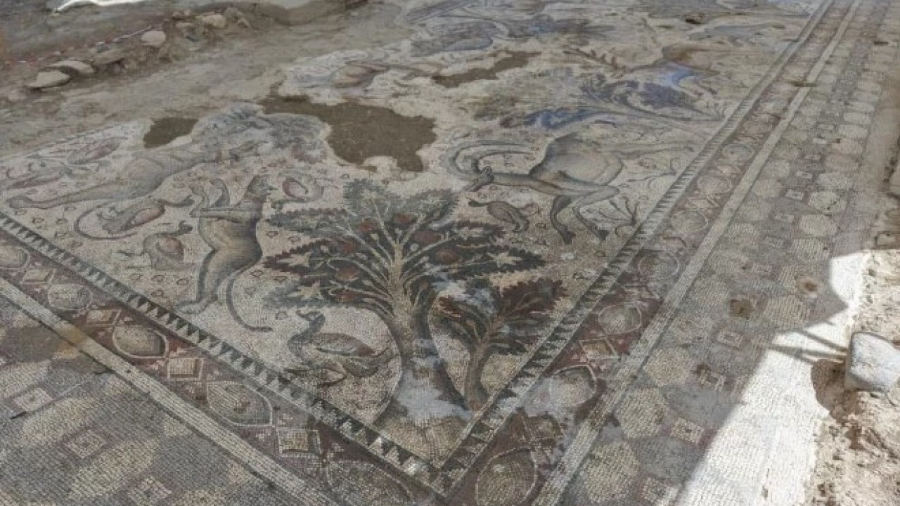 Foto - Fidan dikerken ortaya çıktı! 1700 yıllık tarih günyüzüne çıktı