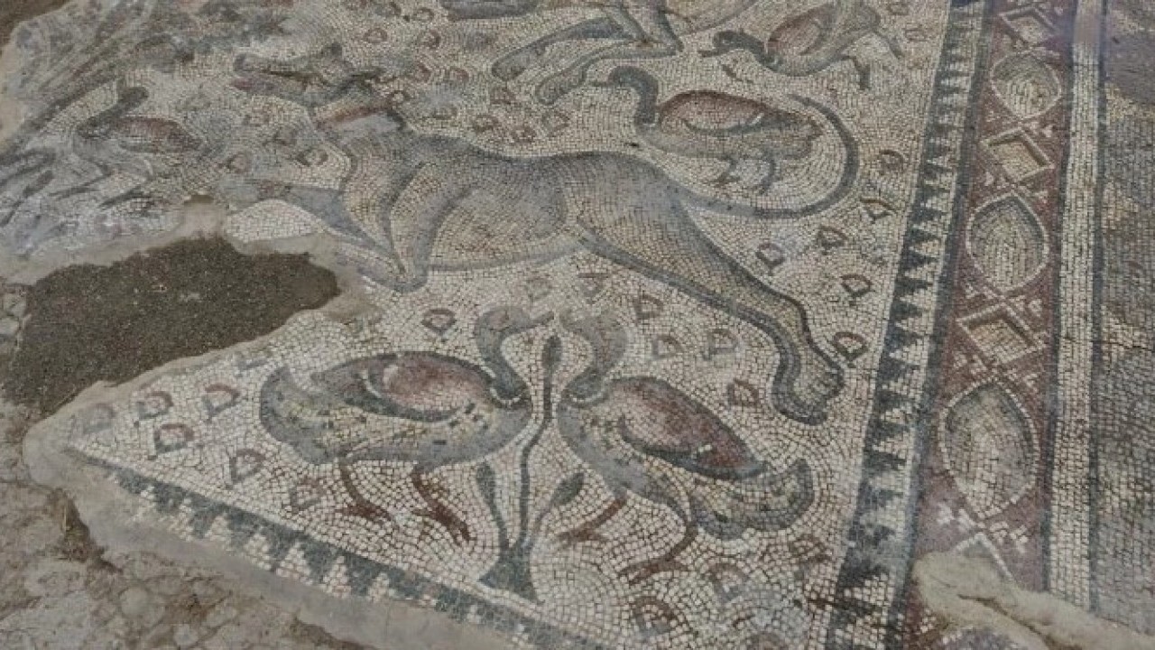 Foto - Fidan dikerken ortaya çıktı! 1700 yıllık tarih günyüzüne çıktı