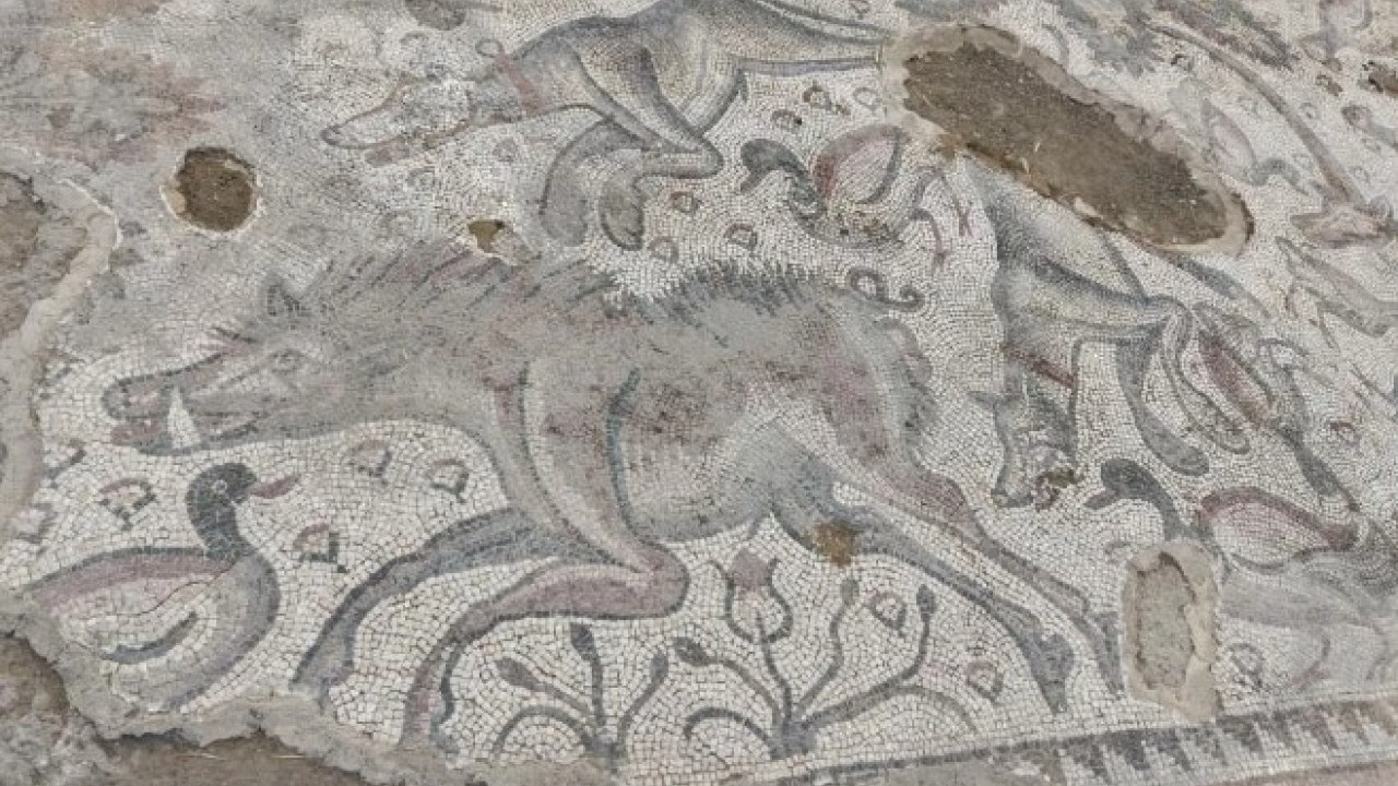 Foto - Fidan dikerken ortaya çıktı! 1700 yıllık tarih günyüzüne çıktı