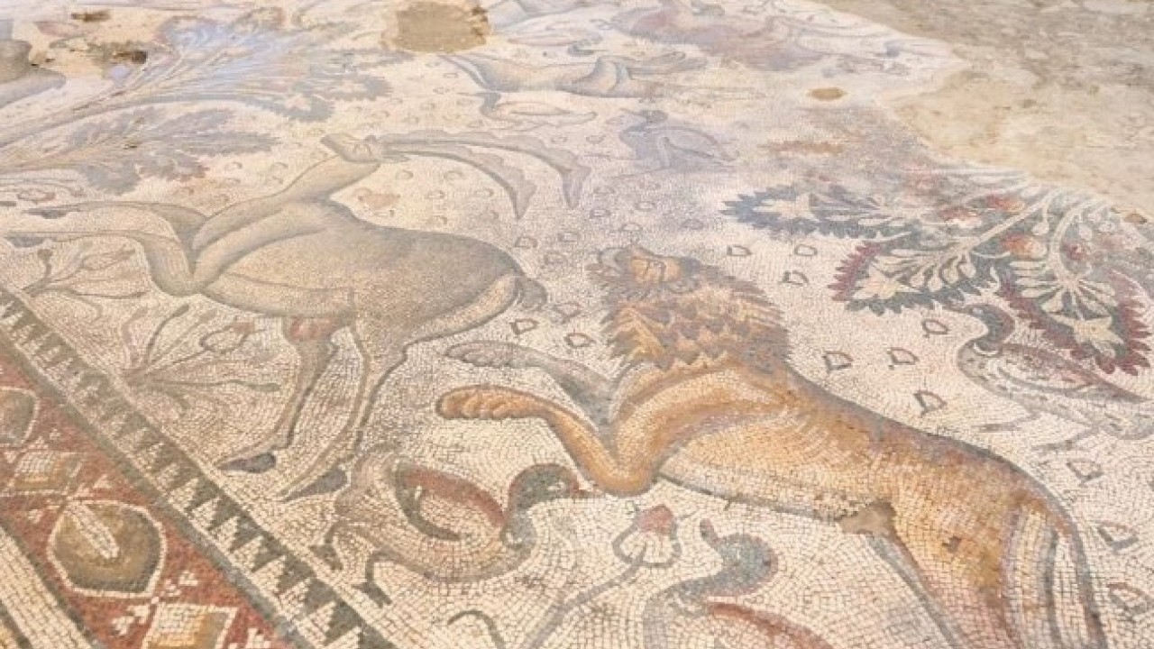 Foto - Fidan dikerken ortaya çıktı! 1700 yıllık tarih günyüzüne çıktı