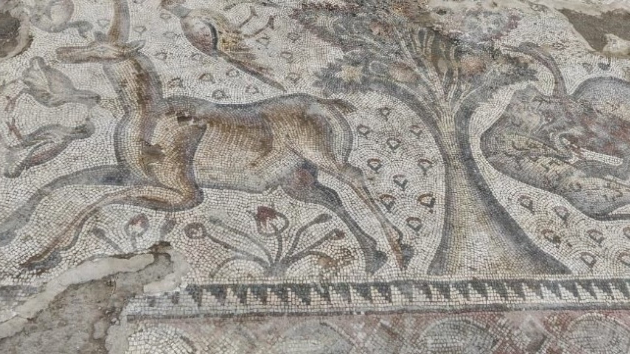 Foto - Fidan dikerken ortaya çıktı! 1700 yıllık tarih günyüzüne çıktı