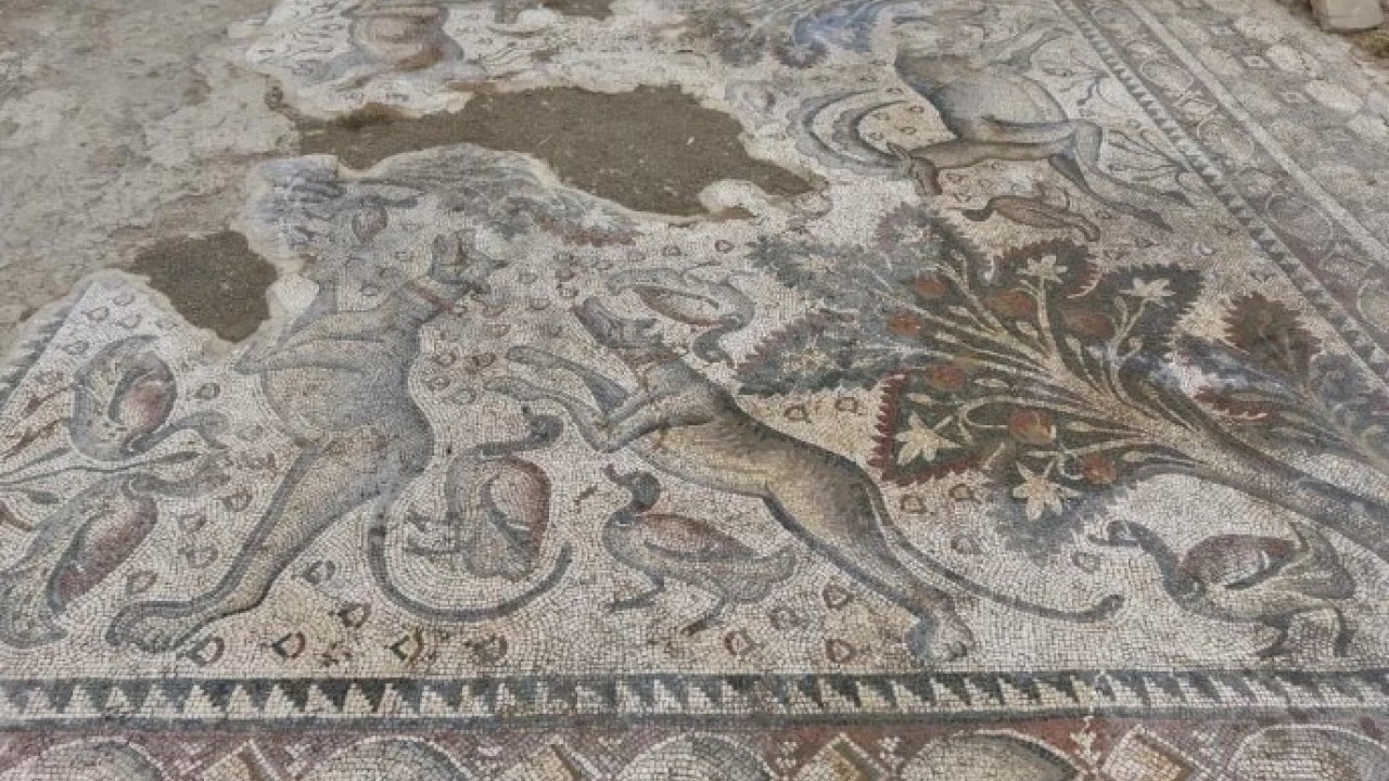 Fidan dikerken ortaya çıktı! 1700 yıllık tarih günyüzüne çıktı