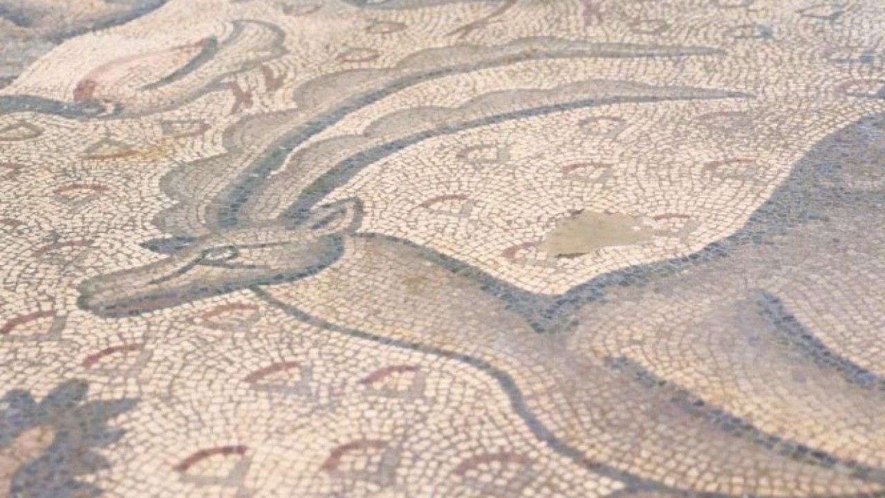 Foto - Fidan dikerken ortaya çıktı! 1700 yıllık tarih günyüzüne çıktı