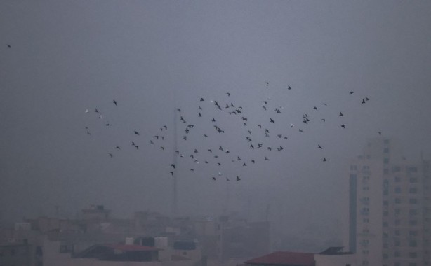 Foto - Filistin'de bilanço ağırlaşıyor