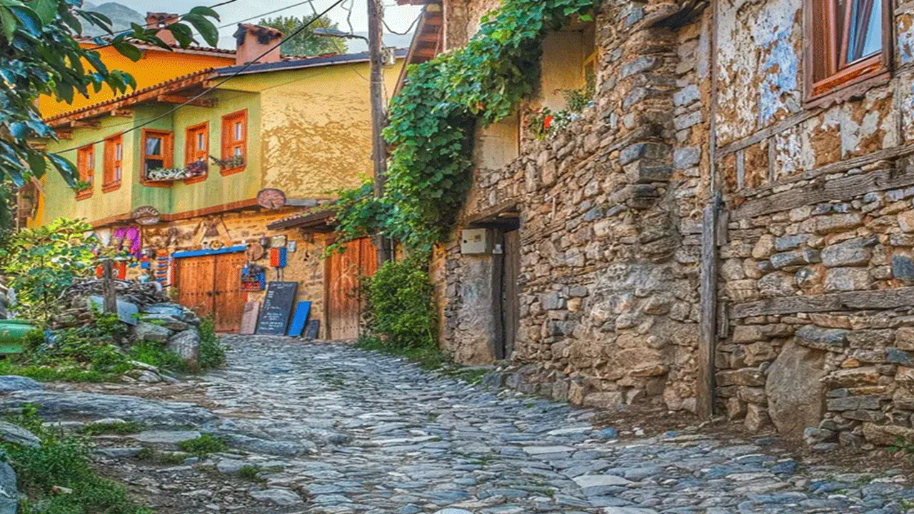 Foto - Film değil gerçek: Köyde tek başına!