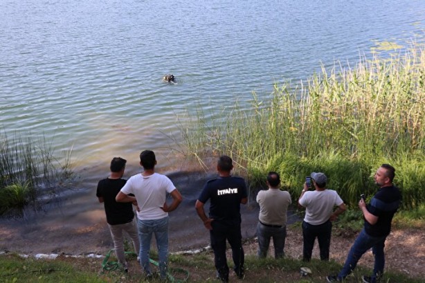 Foto - Film gibi olay! Fotoğraf çekmek i̇sterken şoku yaşadı