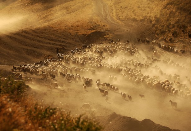 Foto - Film sahnesi değil! Bitlis'ten müthiş görüntüler