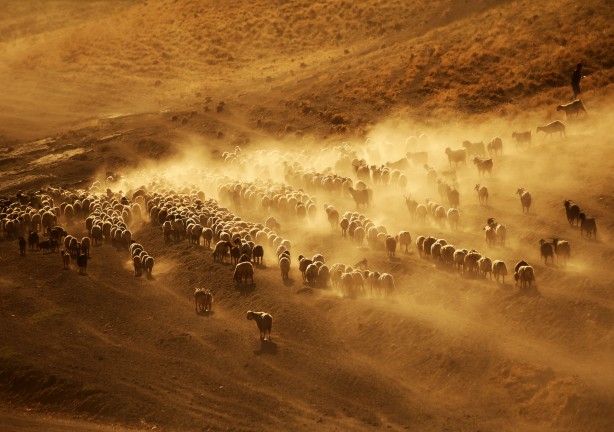 Foto - Film sahnesi değil! Bitlis'ten müthiş görüntüler