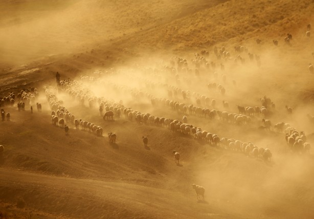 Foto - Film sahnesi değil! Bitlis'ten müthiş görüntüler