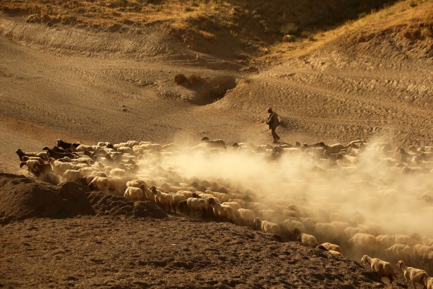 Foto - Film sahnesi değil! Bitlis'ten müthiş görüntüler
