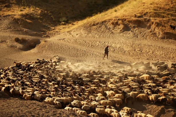 Foto - Film sahnesi değil! Bitlis'ten müthiş görüntüler
