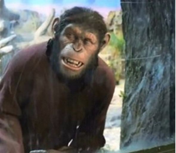 Foto - Filmler aslında nasıl çekiliyor?