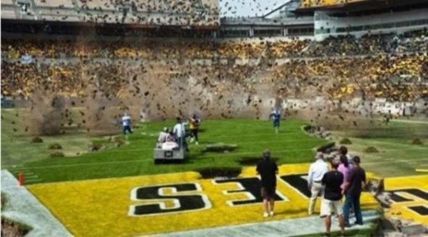 Foto - Filmler aslında nasıl çekiliyor?