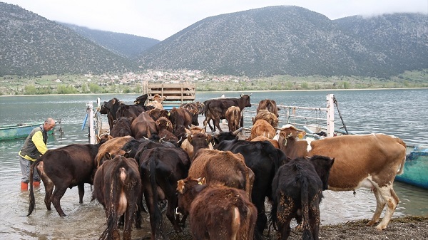Foto - Filmlere konu oldu! Türkiye'nin saklı cennetinde 180 kişi yaşıyor