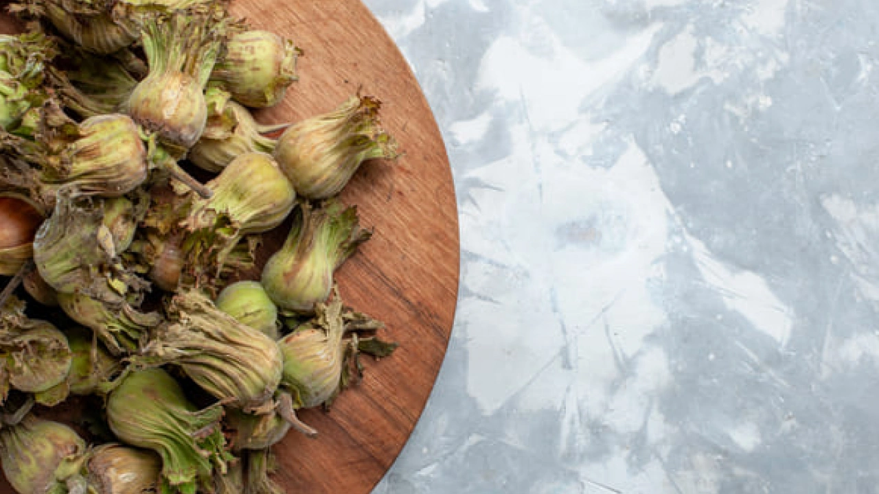 Foto - Fındığın Faydaları Nelerdir? Fındık Nasıl Tüketilmelidir? Hangi hastalıklara derman oluyor…