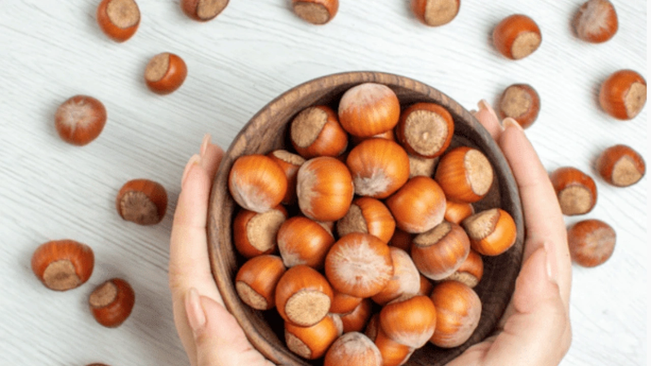 Foto - Fındığın Faydaları Nelerdir? Fındık Nasıl Tüketilmelidir? Hangi hastalıklara derman oluyor…