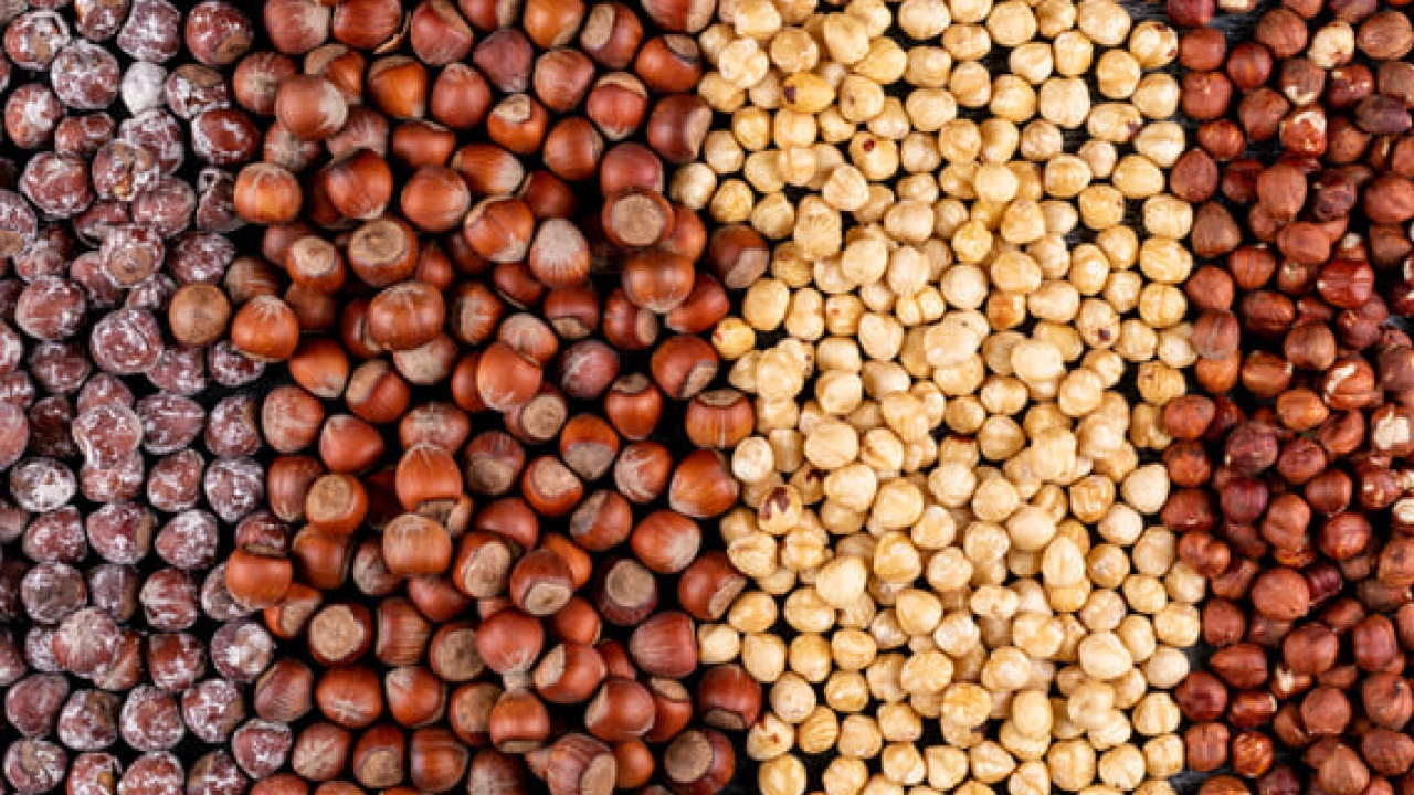 Foto - Fındığın Faydaları Nelerdir? Fındık Nasıl Tüketilmelidir? Hangi hastalıklara derman oluyor…