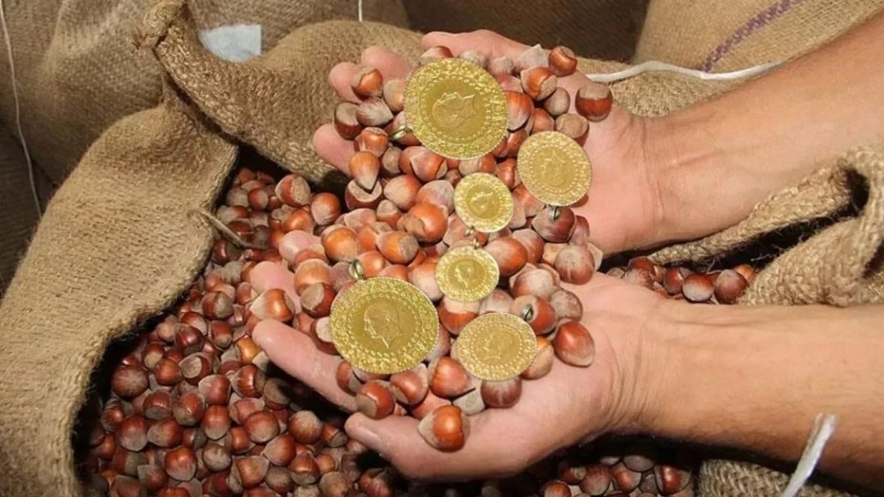 Fındık altına darbe vurdu! Yatırımcı ilgi göstermiyor