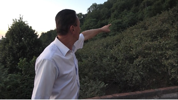 Foto - Fındık bahçesine domuzlar dadanınca... İşte Karadeniz usulü çözüm