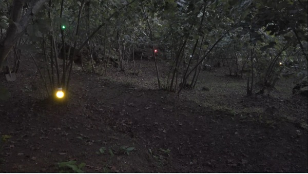 Foto - Fındık bahçesine domuzlar dadanınca... İşte Karadeniz usulü çözüm