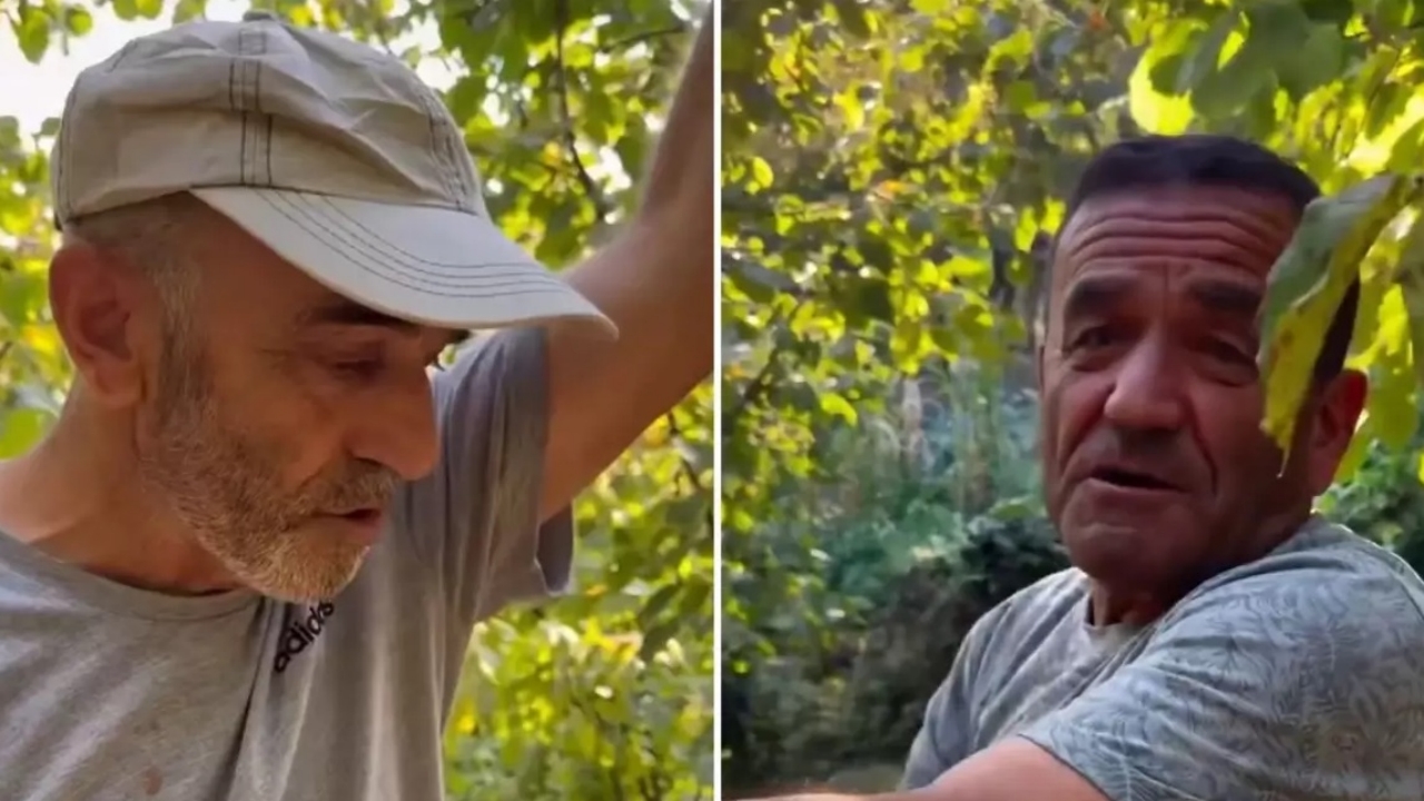 Fındık hasadı için bahçeye inen çiftçiler, resmen şoke oldu: "Zekat" ayrıntısına aman dikkat