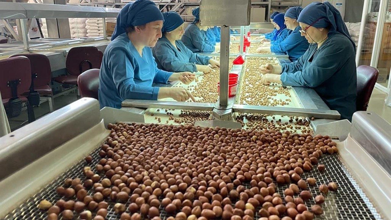 Foto - Fındık ihracatından 2,5 milyar dolarlık kazanç: En fazla satış Almanya'ya yapıldı