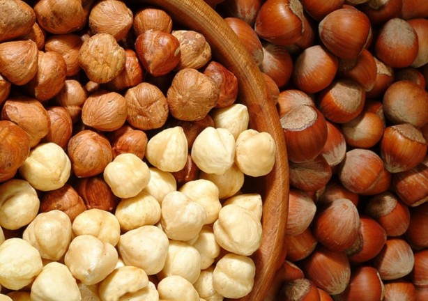 Foto - Fındık kabuğu şifa saçıyor! Kenser ilaçlarının ham maddesini barındırıyor