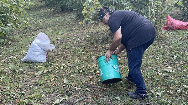 Foto - Fındık mesaisi başladı! Ünlü oyuncunun bu hali çok şaşırttı