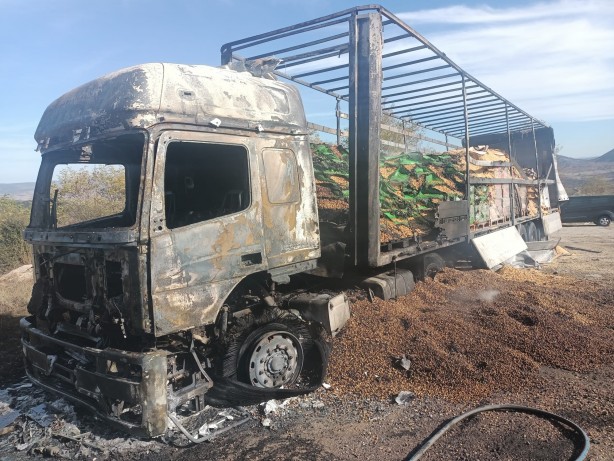 Foto - Fındık yüklü TIR alev alev yandı