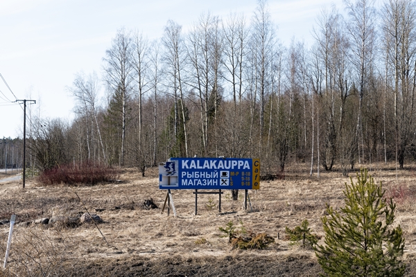 Foto - Finlandiya'dan Rusya sınırında yeni hamle! Resmen başladı