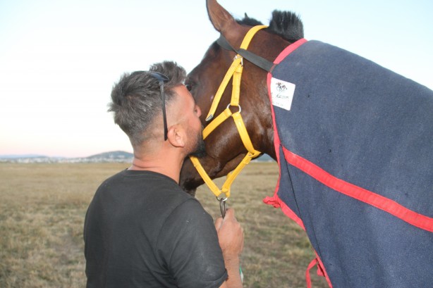 Foto - Firari at sazlıklarda yakalandı