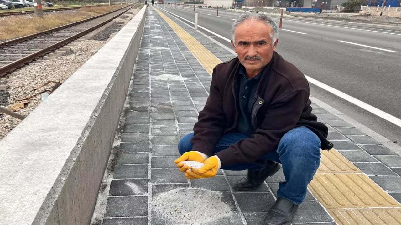 Fırçayla topluyorlar! Yurt dışından gelen TIR’lardan patır patır dökülüyor, bahçesine ekip adeta servet kazanıyor