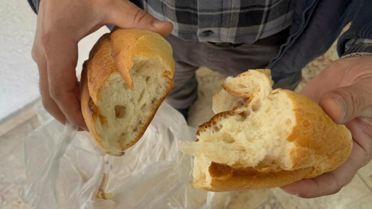 Fırında hijyen rezaleti: Ekmeğin içinden çıkanlar vatandaşı isyan ettirdi! Pasta ve tatlıların içinde kim bilir neler var?