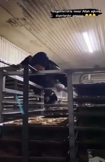 Foto - Fırında mide bulandıran görüntüler! Başörtülü tezgahtarın şu yaptığı rezilliğe bakın