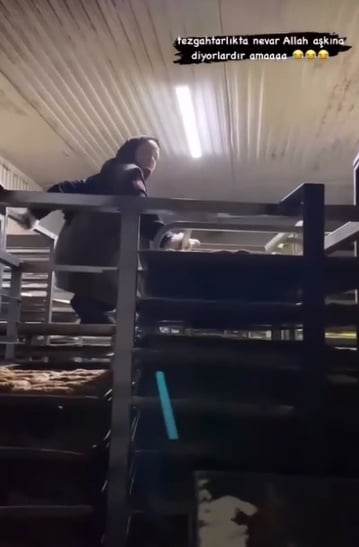 Foto - Fırında mide bulandıran görüntüler! Başörtülü tezgahtarın şu yaptığı rezilliğe bakın