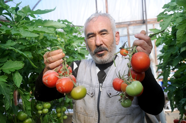 Foto - Fırsatçıları böyle uyardı: Sel bahanesiyle çiftçiyi mağdur etmeyin