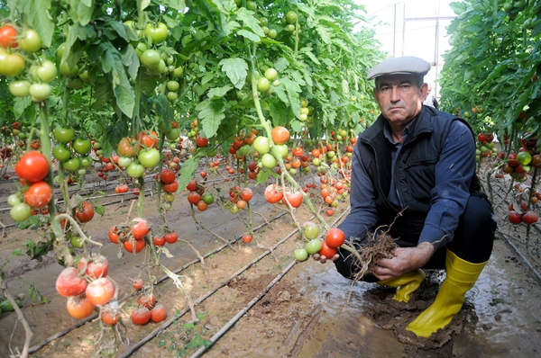 Foto - Fırsatçıları böyle uyardı: Sel bahanesiyle çiftçiyi mağdur etmeyin